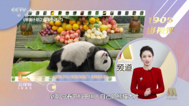 国产三级精品三级男人的天堂